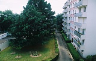 miniature