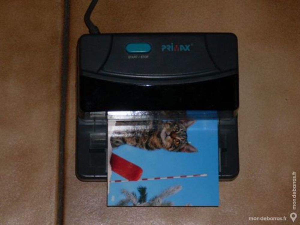 Photo