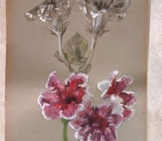 miniature