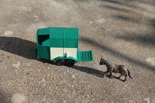 miniature
