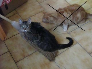 miniature